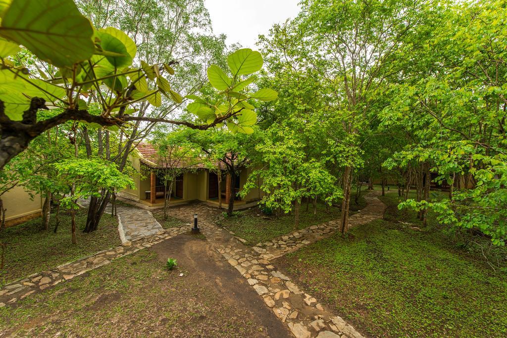 The Windflower Jungle Resort & Spa, Bandipūr Exterior foto