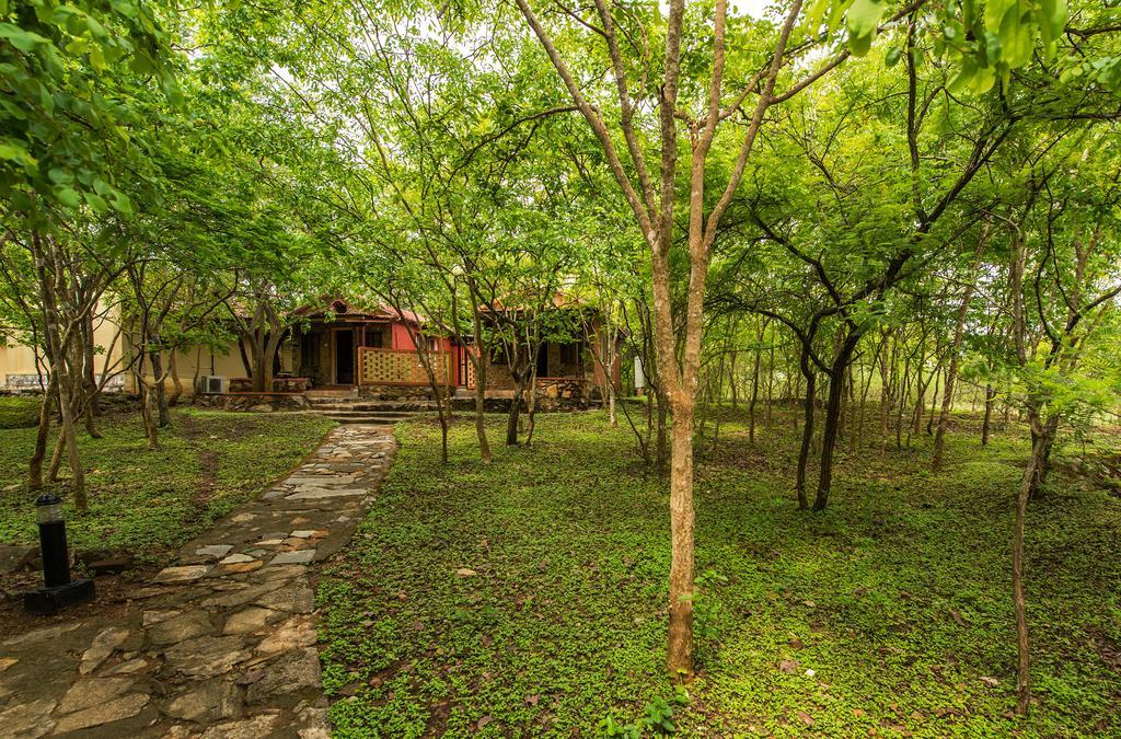 The Windflower Jungle Resort & Spa, Bandipūr Exterior foto