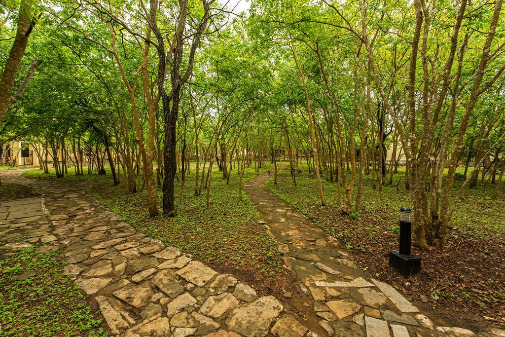 The Windflower Jungle Resort & Spa, Bandipūr Exterior foto