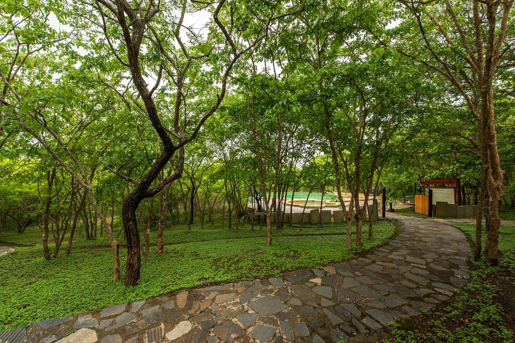 The Windflower Jungle Resort & Spa, Bandipūr Exterior foto